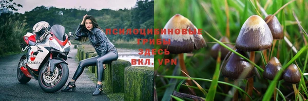 герыч Куйбышев