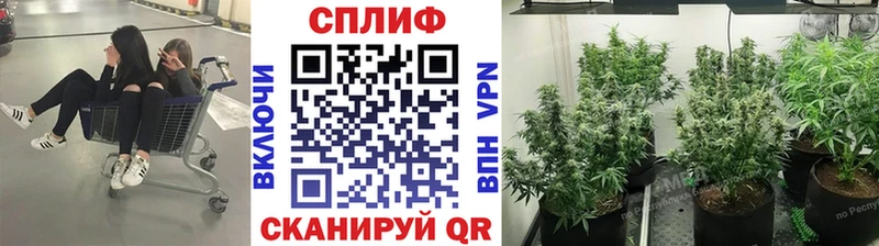 Купить где  Приозерск  Канабис гибрид 